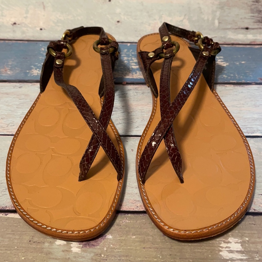 NIB, COACH Vintage Rhea Printed Python Sandals, size 11